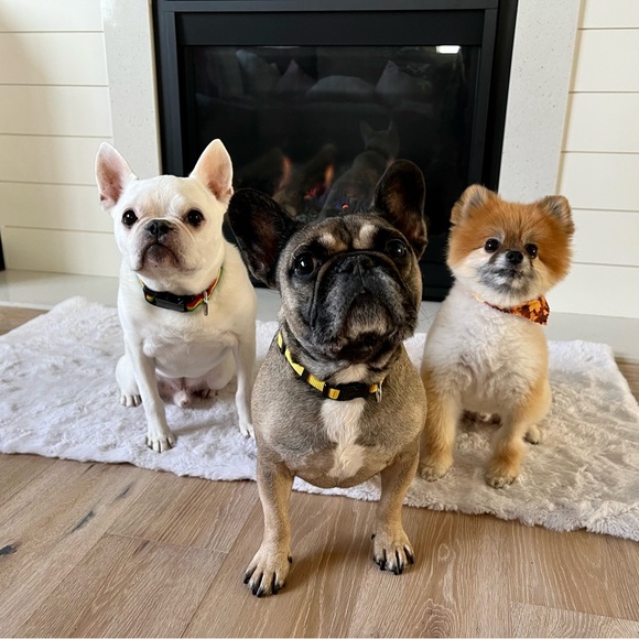 @kenzogracie LIVE SHOW NOTIFICATIONS 📣 women & men’s clothing, beauty, acc - Picture 6 of 6